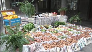 Carreta para la RomeríaOfrenda del Pino del Cabildo de Gran Canaria [upl. by Adiel]