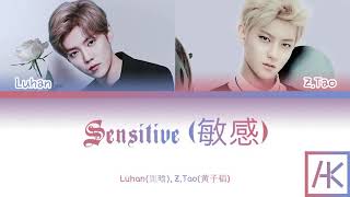 Luhan鹿晗 ZTao黄子韬  Sensitive 敏感 ColorCoded Lyrics KanPinEng [upl. by Noitsuj598]