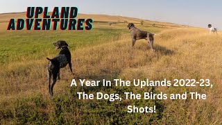 Pheasant hunting sharptail grouse highlights 202223 [upl. by Hairakcaz911]