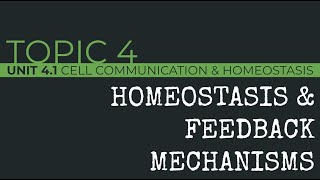 AP Biology Homeostasis amp Feedback Mechanisms [upl. by Campagna537]