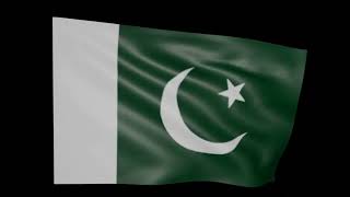 Pakistan Flag  Flag Of Pakistan [upl. by Roath298]