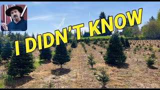 Christmas tree farming First year I was overly protective [upl. by Ydneh12]