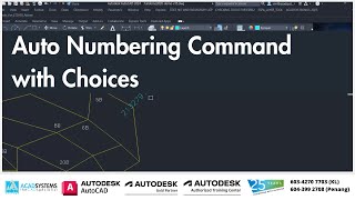 Auto Numbering command with choices for Text Area Perimeter Linear Dimension and others [upl. by Ahsiened]