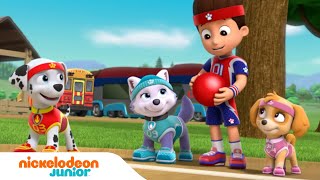 PAW Patrol  La Pat Patrouille joue au ballon contre des singes   Nickelodeon Jr France [upl. by Walden6]