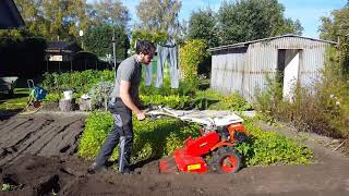 ⚙️ Einachser mit Gartenfräse im Einsatz  Rasen neu anlegen [upl. by Franck]