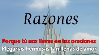 Razones LLDM Instrumental con Letra [upl. by Kristi654]