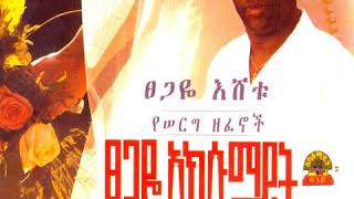 Tsegaye Eshetu wedding song 🎶 ፀጋዬ እሸቱ quotሀይሎጋquot የሰርግ ዘፈን [upl. by Darooge]