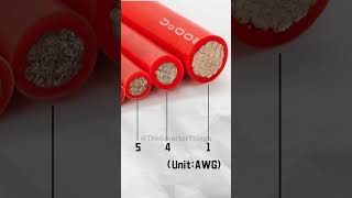 Solid Wire Vs MultiStrand Wire  youtubeshorts shorts short shortsvideo trending [upl. by Notnelc43]