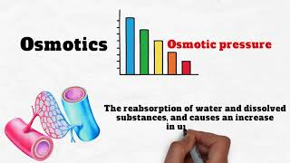 Loop vs Osmotic Diuretics [upl. by Larrie692]