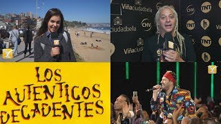 Los Auténticos Decadentes  El Murguero Tuta Tuta  Festival de la Canción de Viña del Mar 2017 [upl. by Bayly995]