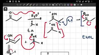 Mecanismo de condensación aldolica en medio ácido [upl. by Lory]