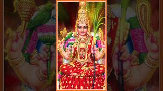 வரங்களை வழங்கும் அம்மன் பக்தி பாடல்கள்  Amman Bhakthi Padal  shorts [upl. by Askwith234]