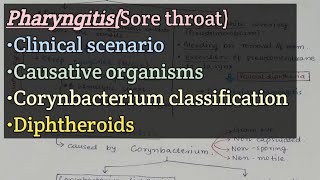 Pharyngitis  Clinical scenario  Causative organisms  Corynebacterium classification  Diphtheroid [upl. by Iderf190]