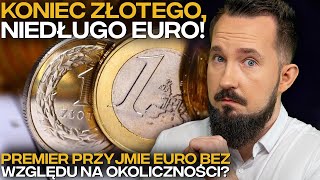 EURO w POLSCE WADY i ZALETY Strefy Euro BizON [upl. by Inahs]