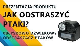 Jak odstraszyć ptaki Odstraszacz ptaków Birdchaser 2 Błyskowo dźwiękowy [upl. by Aneetak167]