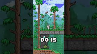 Best Vanilla Mods in Terraria terraria [upl. by Lucio]