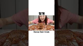 털이 수북 신기한 털게amp불닭볶음면 먹방 Horsehair Crab Giant Carb Buldak Spicy Ramen Seafood Mukbang ASMR Ssoyoung [upl. by Eiralam121]