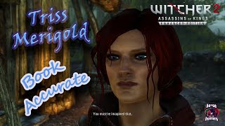 Witcher 2  Triss BookAccurate Mod [upl. by Alvy625]