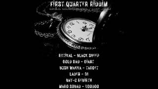 Dancehall 2024 Mix  First Quarter Riddim [upl. by Euphemiah539]