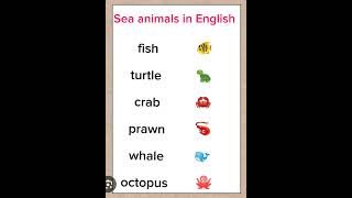 Sea animalsenglishenglishgrammarlearnenglishvocabularyeducationshortsyoutubeshorts [upl. by Yelnahs162]