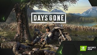 Days Gone  GTX 1050 I58300H DELLG3 [upl. by Ameer]