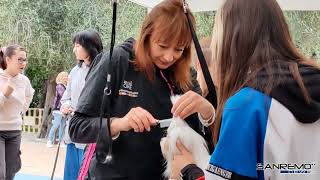 Al via Bordighera Dog Show cani in passerella ai giardini Lowe [upl. by Anola717]