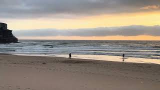 17112024 Sydney Surf Report Queenscliff Beach Australia [upl. by Ahsirak]