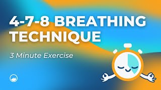 4 7 8 Breathing Exercise  3 Minutes  Technique With Counter Timer  Paced Breathing Exercise  DBT [upl. by Akinod189]