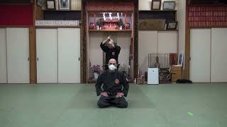 Gary Giamboi Genbukan Shihan Test [upl. by Sidell]