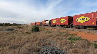 NR63 NR113 amp 8011 Micabil NSW Sat 25th May 2024 [upl. by Ahsemot]