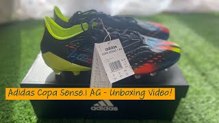 Adidas Copa Sense1 AG Football Boots  World Cup 2022 Pack 1 4K Video [upl. by Bust]