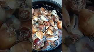 l seafood shortvideo [upl. by Maccarone]