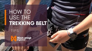 How to adjust and use the Nonstop dogwear Trekking belt [upl. by Atinrev]