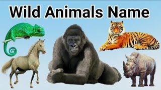 Wild Animals  wild Animals name  जंगली जानवर aajadkidseducationalvideo [upl. by Dickerson570]