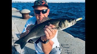 Morski Street fishing  Grecja trip  Sea bass  WAWędka 2019 [upl. by Henryson946]