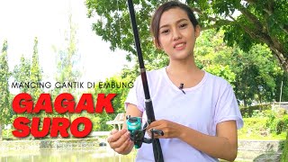 mancing cantik  embung gagak suro [upl. by Eizle]