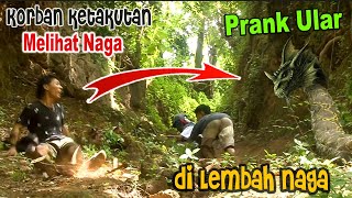 Prank Ular piton raksasa di Lembah Naga  Warga resah dicekam rasa ketakutan [upl. by Yelsel592]