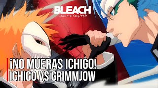 ¡BATALLA FINAL  ICHIGO vs GRIMMJOW  Español Latino [upl. by Blockus]