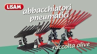 Abbacchiatori pneumatici Lisam  I fantastici 4 [upl. by Quenby]