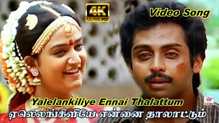 Yaleankiliyeaஏலெலங்கிளியே என்னைதாலாட்டும்Anand Babu Mohini Love Sogam Tamil Song [upl. by Petracca]