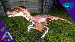 HOW TO TAME TROODONS BIG PAIN BUT EPIC PVP TAME Solo ARK Mobile S2E61 [upl. by Aiciruam]