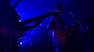 Hippo Campus Warm Glow LIVE at The High Dive [upl. by Eirrehs]