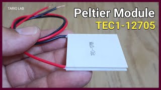 What Is Peltier Module  Thermoelectric Cooler [upl. by Irahc]