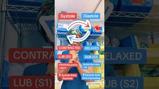 Systole vs Diastole systolic diastolic bloodpressure nursingschool nursingstudent nclexrn [upl. by Heywood]