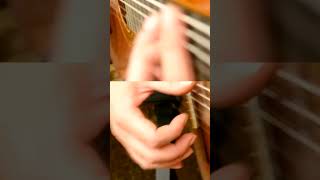 Rumba Elaborate Style 1 1 of 2 flamencoguitarlessons [upl. by Augustina823]