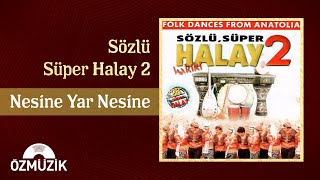 Nesine Yar Nesine  Sözlü Süper Halay 2 Official Audio [upl. by Ltsyrk]