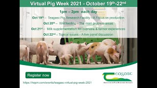 Milk Supplementation – An overview and farmer experiences  Virtual Pig Week [upl. by Bohlen]