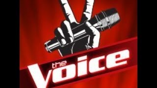 The Voice Auditions 2013 [upl. by Noyes]