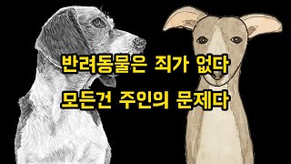 반려동물은 아무나 키우면 안된다 [upl. by Chapell]