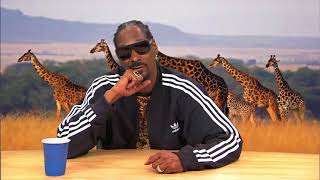 HILARIOUS Snoop Dogg narrates Animal Planet Documentary [upl. by Ezequiel]